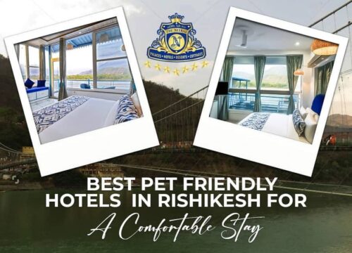Best Pet Friendly Hotels in Rishikesh for a Comfortable Stay